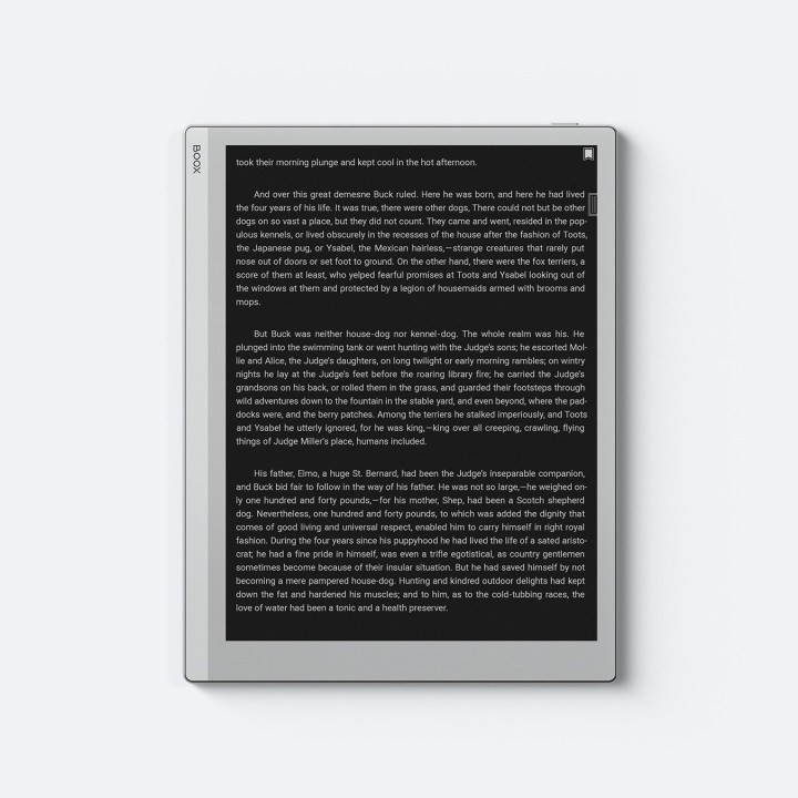 BOOX Go 10.3 Gen II Lumi / Gen 2 Lumi kaufen | 10,3 Zoll ePaper Tablet mit Frontlicht