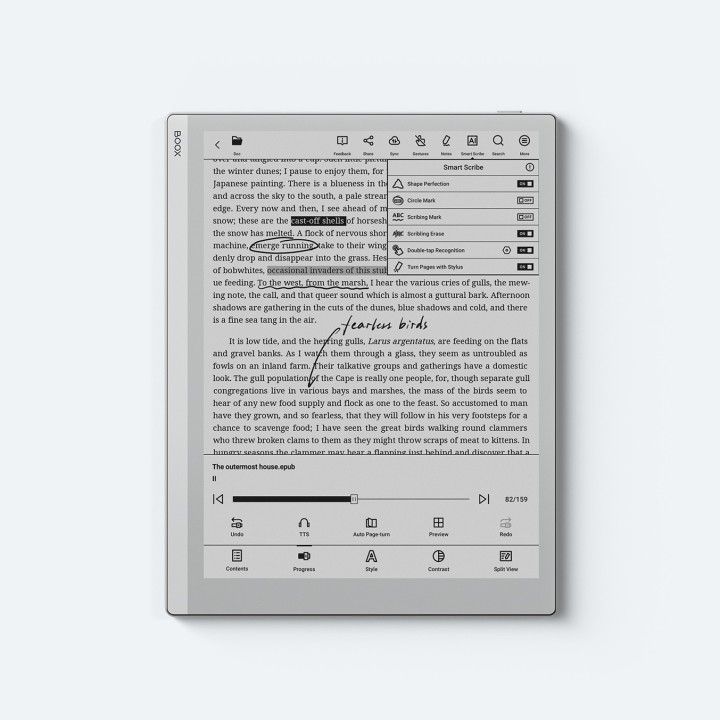 BOOX Go 10.3 Gen II Lumi / Gen 2 Lumi kaufen | 10,3 Zoll ePaper Tablet mit Frontlicht